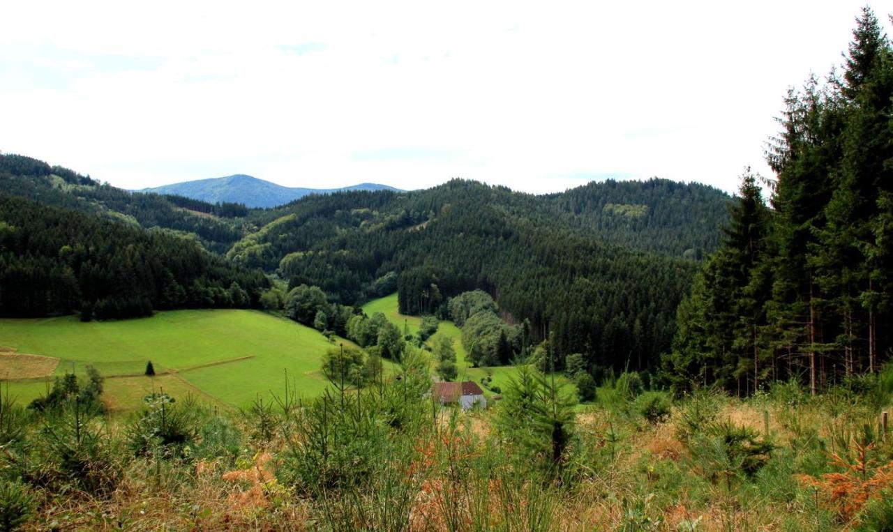 Gemuetliches Haus Im Herzen Des Schwarzwaldes Fuer Bis Zu 9 Personen Elzach Bagian luar foto