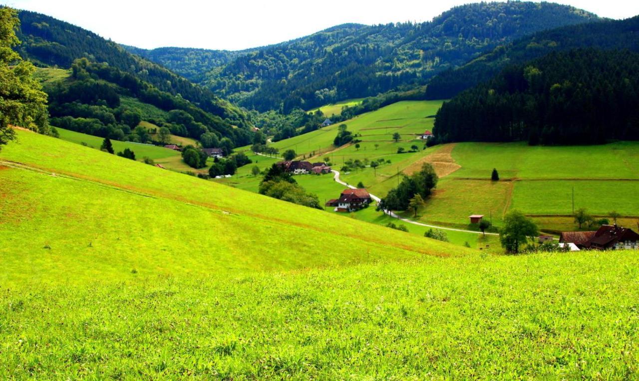 Gemuetliches Haus Im Herzen Des Schwarzwaldes Fuer Bis Zu 9 Personen Elzach Bagian luar foto
